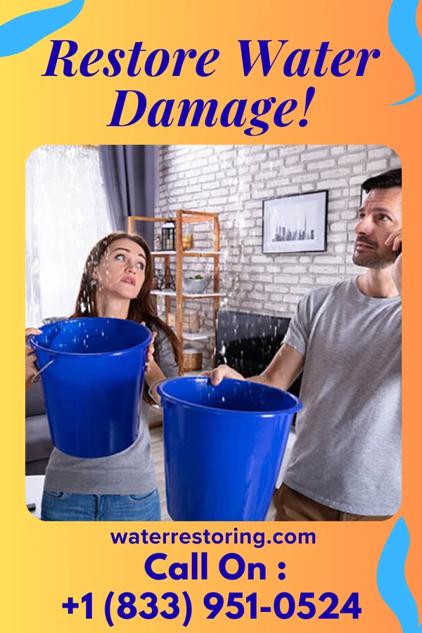 water restoration Vigilant Water Mitigation Inc Proctor